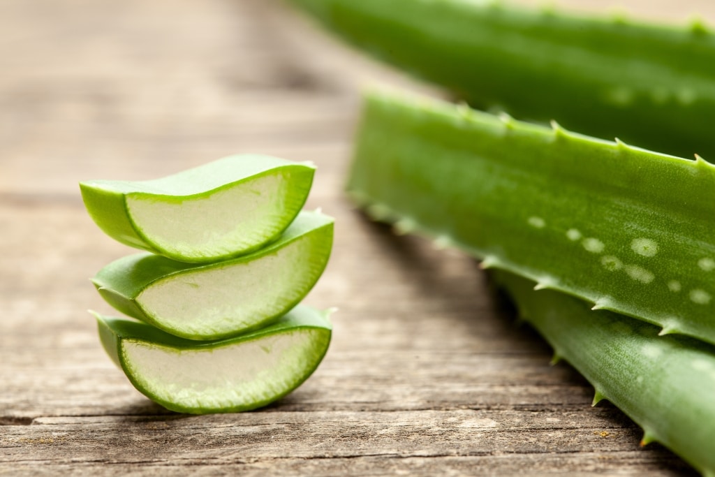 Aloe Vera